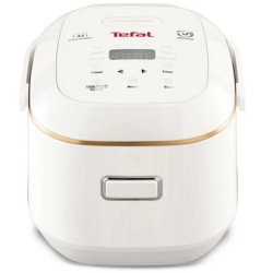 TEFAL 特福 RK6011 西施電飯煲